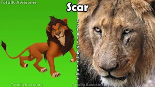 81 The Lion King Characters In Real Life 🌟 IRL 2017