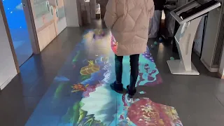 interactive floor system