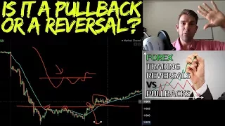 Spotting the Difference between a Pullback and a Reversal? 📈📉