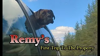 Remy's First trip to the property, our new area and Starlink news!!