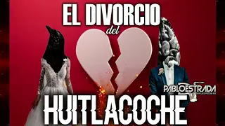 El Divorcio Del Huitlacoche (audio oficial) 2022