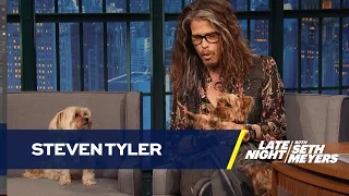 Steven Tyler Brings His Dogs to Late Night