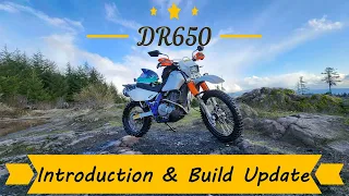 Our DR650 Introduction and Build Update