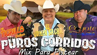 El Tigrillo Palma, El Compa Sacra, El Coyote - Puros Corridos Mix Para Pistear