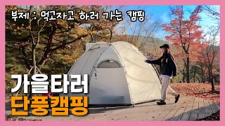 가을이라 단풍 캠핑 / insta360 go2 / 국밥엔 소주 / 포장음식 먹으러 가는 캠핑 / 작천정별빛야영장 / 언양맛집 / 삼미아구찜 / 여자솔캠 / 콩이캠핑