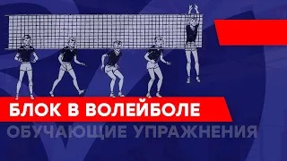 Блок в волейболе. Обучающие упражнения.