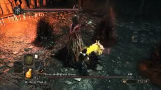 Dark souls 2  Elana, the Squalid Queen & pigs (easy technique)