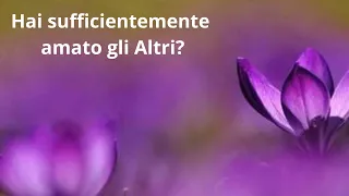 Hai sufficientemente amato gli Altri?