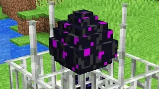 How to USE The Ender Dragon Egg!
