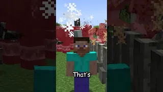 The WORST Minecraft Feature