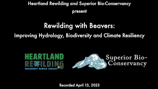 Rewilding with Beavers- Improving Hydrology, Biodiversity, and Climate Resiliency