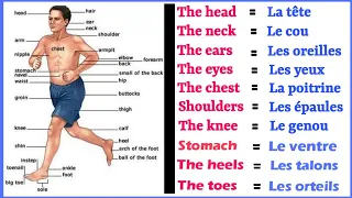 Les Parties du Corps Humain en Anglais 🩸 Human Body Parts.