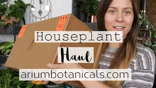 Ariumbotanicals.com Unboxing & Review! | Hoya Houseplant Haul!