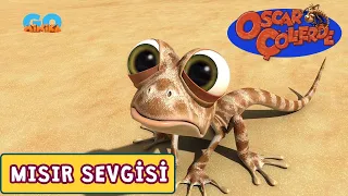 Oscar Çöllerde 🦎 | Mısır Sevgisi | Minika