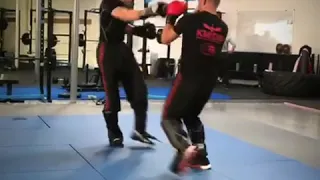 Krav Maga fighting multiple attackers