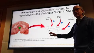 On the Origins of Vestibular Symptoms in Migraine - Sub Classifying Vestibular Migraine Patients