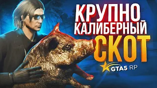 ПРАНК НАД СЛЕДОВАТЕЛЕМ | GTA5RP | ROCKFORD // GOV