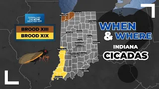 Weather may impact when cicadas come out across Indiana and Illinois | Spring 2024