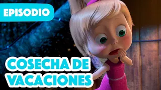 Masha y el Oso Castellano💥NUEVO EPISODIO 2023💥 Cosecha De Vacaciones 🧚‍♀️ 🎃 (Episodio 50)