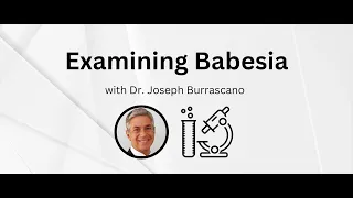 Examining Babesia