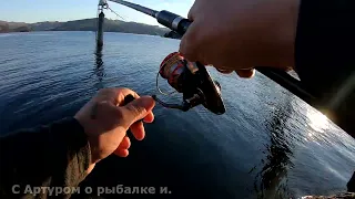Рыбалка в Норвегии.  Попал на косяк с зачётным трофеем.