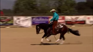 Chexmaster and Tracer Gilson 2016 RBB Open Derby 224.5