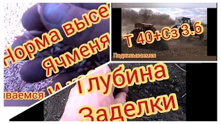 ячмень выращивание на зерно.сроки,норма высева,глубина