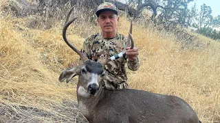 Big Blacktail Buck Down - California A Zone