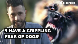 An extreme fear of dogs: Living with Cynophobia | SBS The Feed