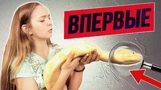 ВПЕРВЫЕ - ОГРОМНЫЙ ПИТОН У МЕНЯ ДОМА