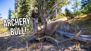 A Backcountry Archery Elk Hunt! | Fresh Tracks Season 10