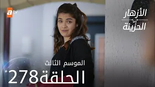 مسلسل الأزهار الحزينة | الحلقة 278 - الموسم الثالث