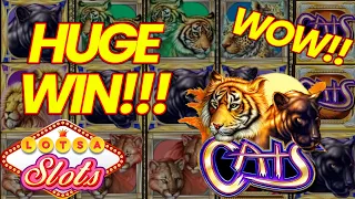 UP TO $120 SPINS! HUGE JACKPOTS ON CATS! NICE PROFIT GOOD JOB CATS HIGH LIMIT GAMBLING IN LAS VEGAS