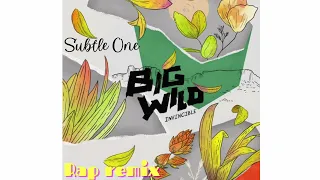 Empty Room - Cabu Remix Big Wild Subtle One Version