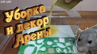 Уборка формикария и декор арены для муравьёв.