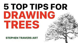 5 Top Tips for Drawing Trees