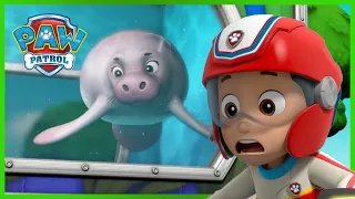 Die Welpen retten eine Seekuh - PAW Patrol Germany - Cartoons für Kinder