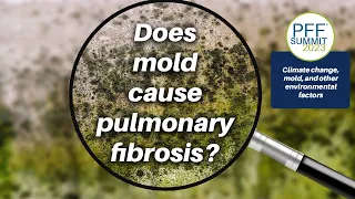 Understanding Pulmonary Fibrosis and Environment Impacts, Climate Change, Mold Risk Factors