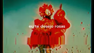 kali uchis - i wish you roses • tradução