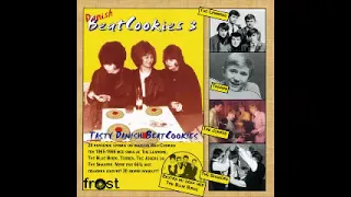 Various ‎– Danish BeatCookies Vol. 3 - 60's Garage Pop Rock Beat Psychedelic Music Album Compilation