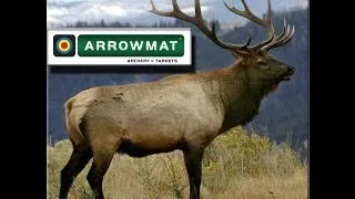 ArrowMat self healing archery target review