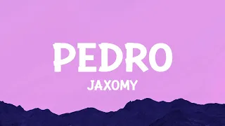 Pedro - Jaxomy, Agatino Romero, Raffaella Carrà (TikTok Song)