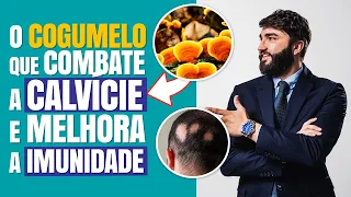 Cogumelo Reishi: uma nova alternativa contra a queda dos cabelos