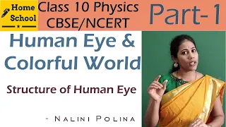 Human Eye And Colorful World Class 10 Science Part-1