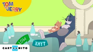 Tom și Jerry | Ca o pisică | Cartoonito