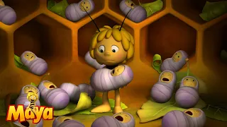 Bee kindergarten - Maya the Bee🐝🍯🐝