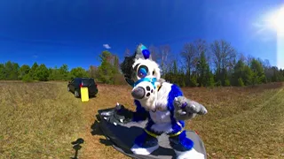 call me a good boy? #please #furry #4k #3d #360video