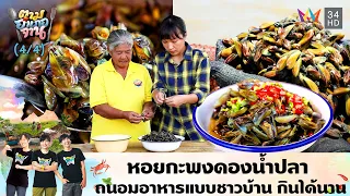 หอยกะพงดองน้ำปลา ถนอมอาหารภูมิปัญญาชาวบ้าน | ตามอำเภอจาน | 28 พ.ค.67 (4/4)