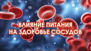 Влияние питания на здоровье сосудов