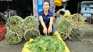 How to knit a traditional chicken cage | Harvest green vegetables goes to market sell | Ly Thi Tam